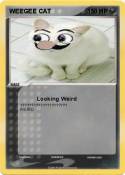 WEEGEE CAT
