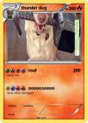 thunder dog