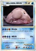 HEILIGEBLOBVIS