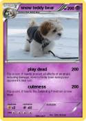 snow teddy bear