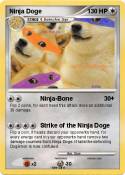 Ninja Doge