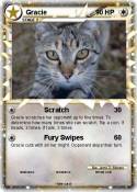 Gracie Gracie