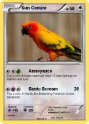 Sun Conure
