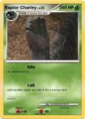Raptor Charley