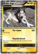 Ash the doge