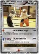 ninja cats