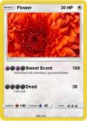 Flower