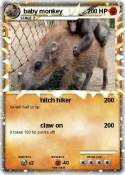 baby monkey