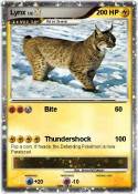 Lynx