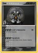 Owl