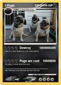 3 Pugs 10000