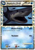 Megalodon Shark