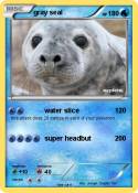 gray seal