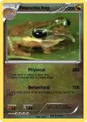 Pinocchio frog