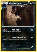 Shadow hound