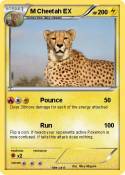 M Cheetah EX