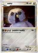 owley
