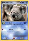 mad koala