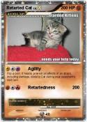 Retarted Cat