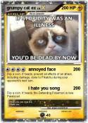 grumpy cat ex