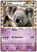 Koala