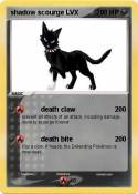 shadow scourge