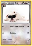 lazy cool dog
