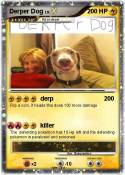 Derper Dog