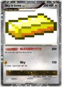 Sky is boss