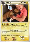Lillipup