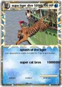 supa tiger dive