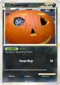 Pumkin Cat