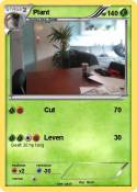Plant