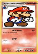 papiere mario