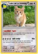 cute cat