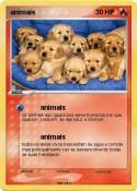 animais