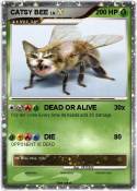 CATSY BEE