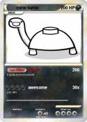 mine turtle