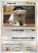 Asian Cat