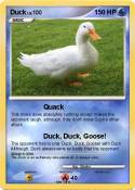 Duck