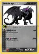 EnderDragon
