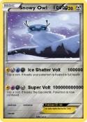 Snowy Owl 10000