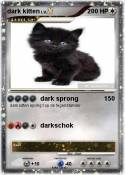 dark kitten