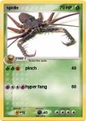 spidie