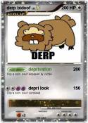 derp bidoof