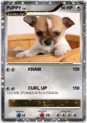 PUPPY