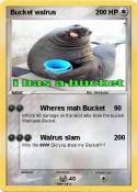 Bucket walrus