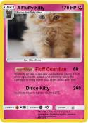 A Fluffy Kitty