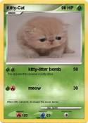Kitty-Cat