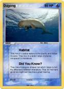 Dugong